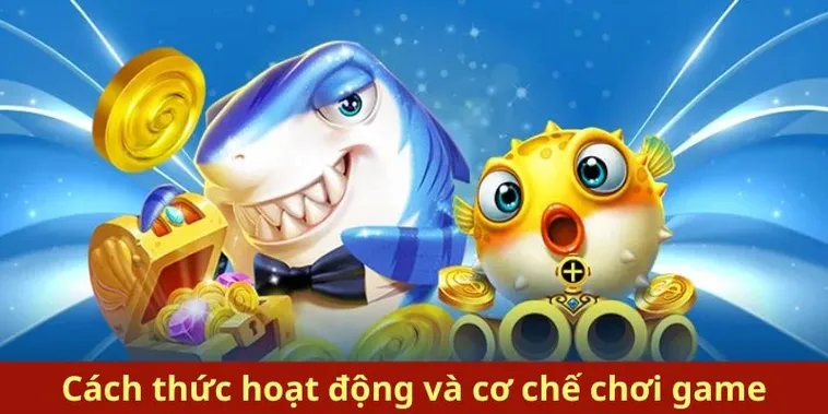 Bí Quyết Chinh Phục Bắn Cá Royal Fishing Tại Nohu90 Dễ Thắng