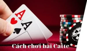 Bí Kíp Thắng Đậm Với Cách Chơi Sắc Tê Nhà Cái Nohu90