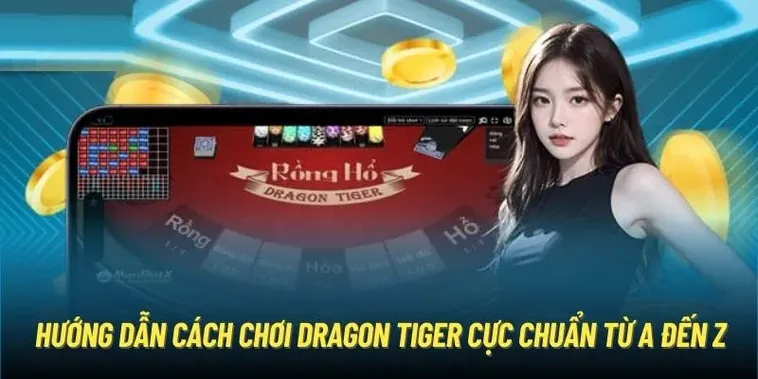 Bí Kíp Thắng Lớn Dragon Tiger Tại Nohu90 Cho Dân Cược